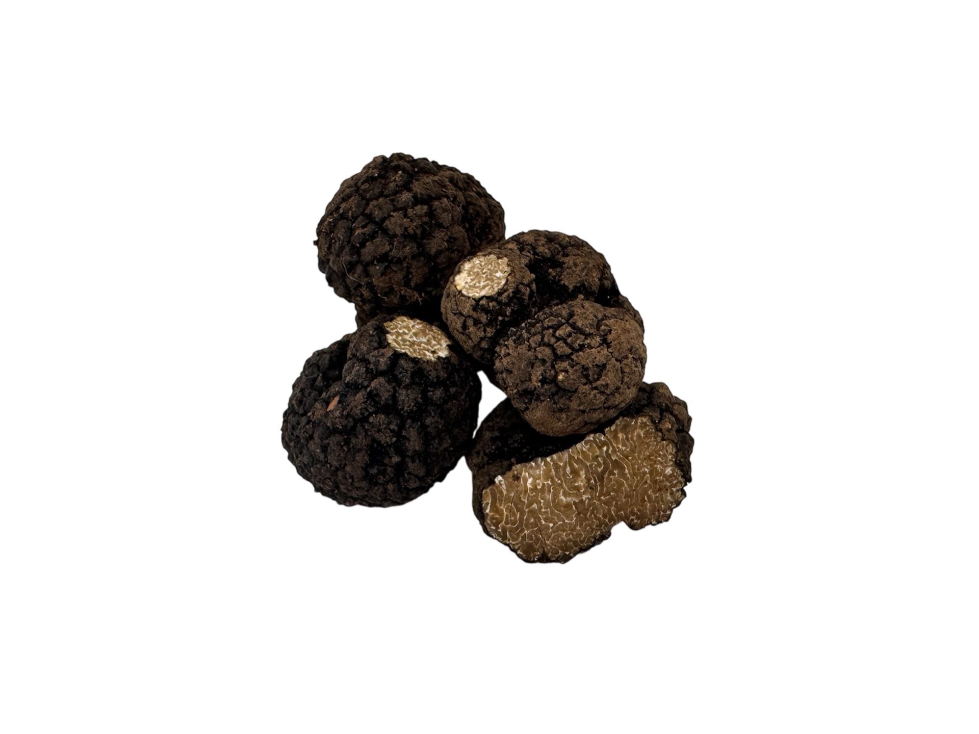 Burgundy truffle A-class